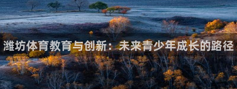 米兰体育官方正版app集团logo:潍坊体育教育与创新:未来